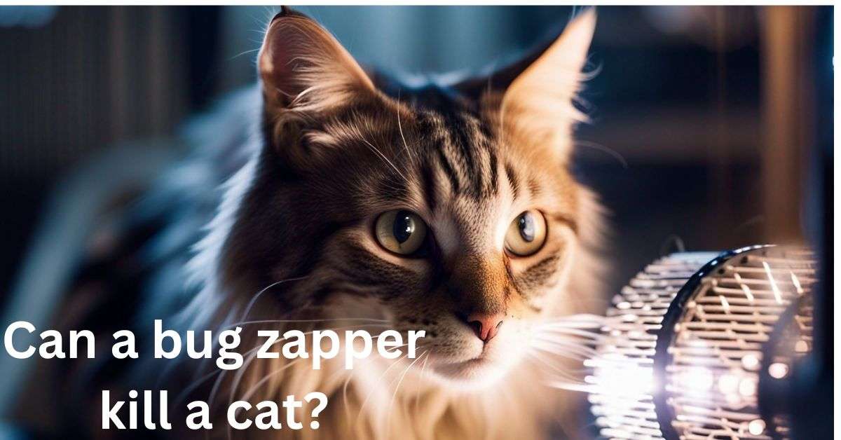 Can A Bug Zapper Kill A Cat