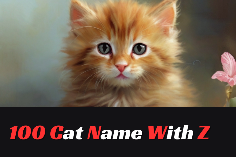 cat names with z