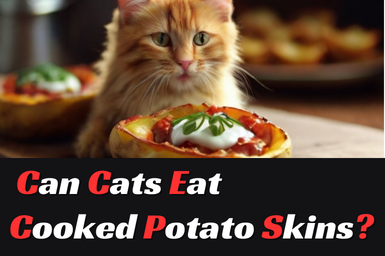 Can Cats Eat Cooked Potato Skins