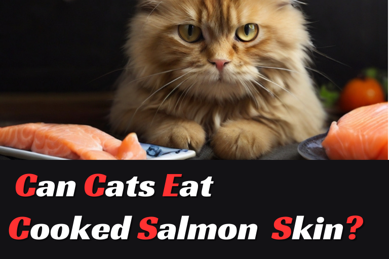 Can Cats Eat Cooked Salmon Skin