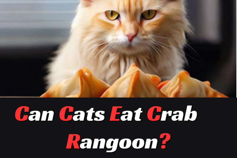 Can Cats Eat Crab Rangoon