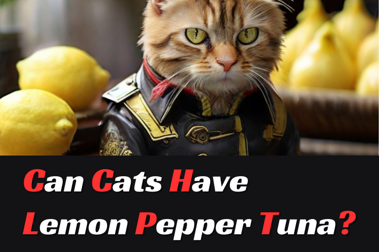 Can Cats Have Lemon Pepper Tuna