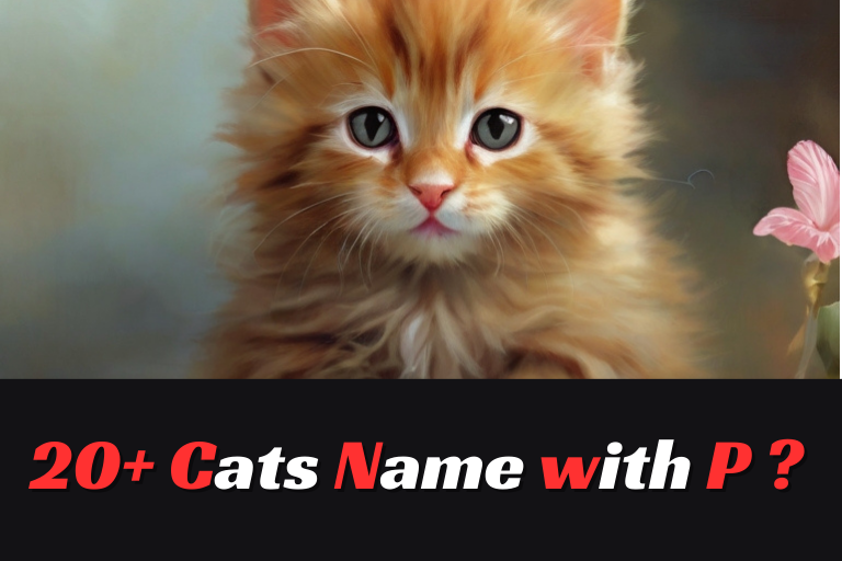 Cats Name with P