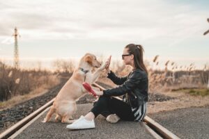 Dog Kills Bird