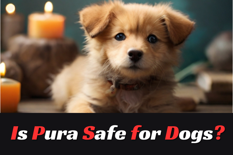 Is Pura Safe for Dogs