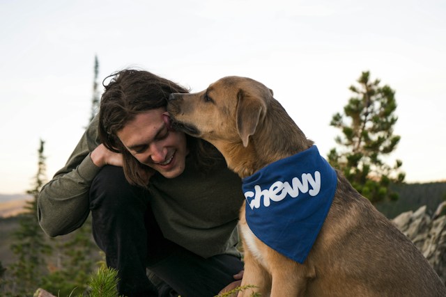 why do dogs wear bandanas