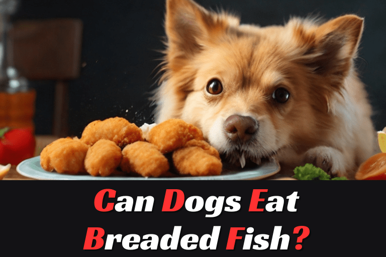 Can Dogs Eat Breaded Fish