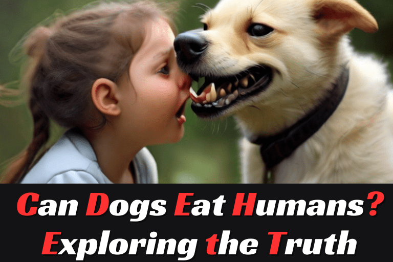 Can Dogs Eat Humans