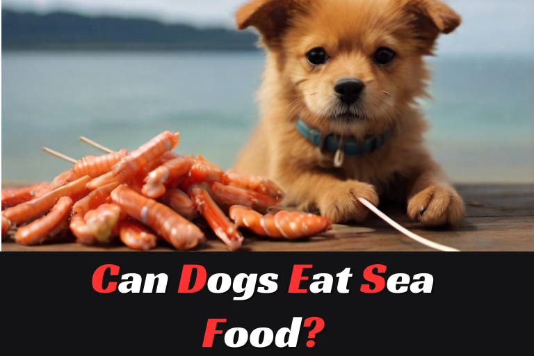 Can Dogs Eat Sea Food