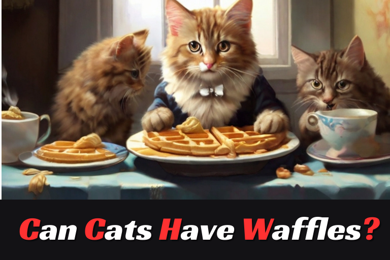 Can cats eat waffles