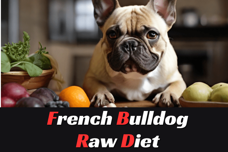 French Bulldog Raw Diet