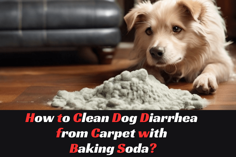 How to Clean Dog Diarrhea from Carpet with Baking Soda