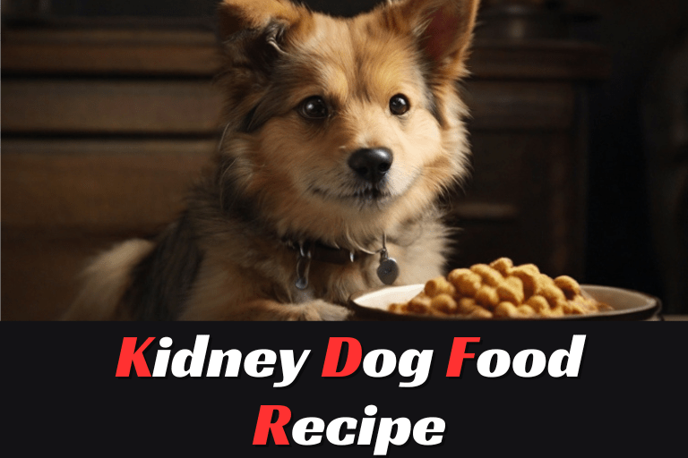 Kidney Dog Food Recipe