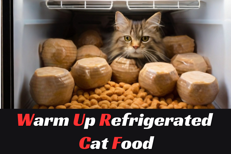 how to warm up refrigerated cat food